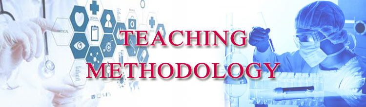 Teaching Methodology